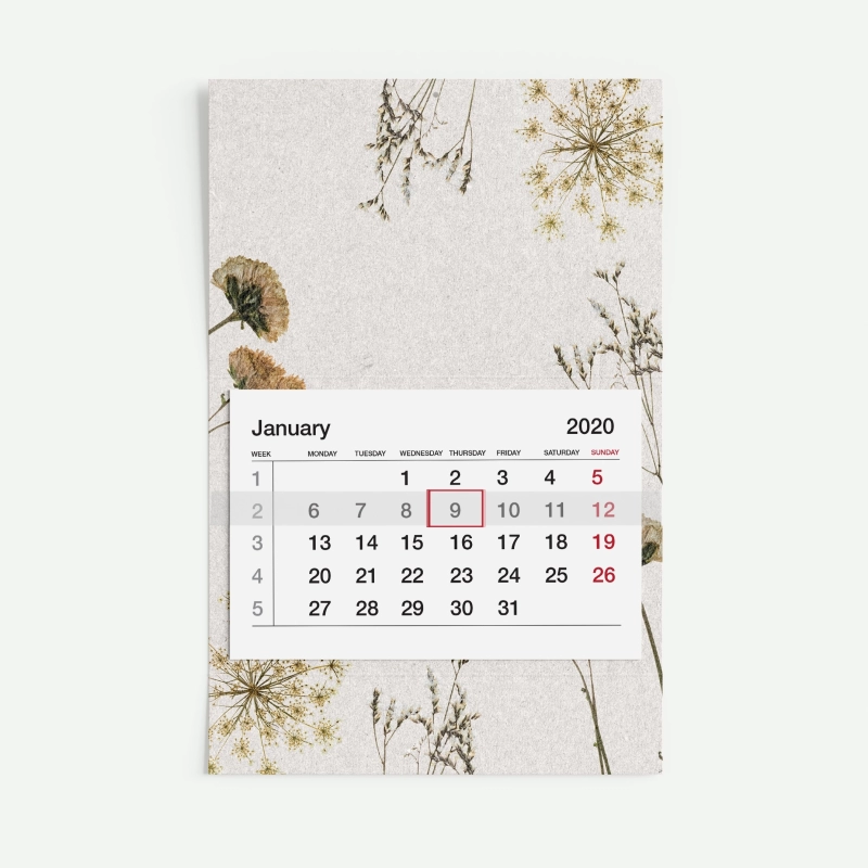 One-Month Calendars Eco