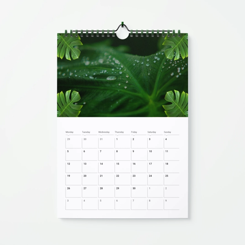 Spiral-Bound Calendars