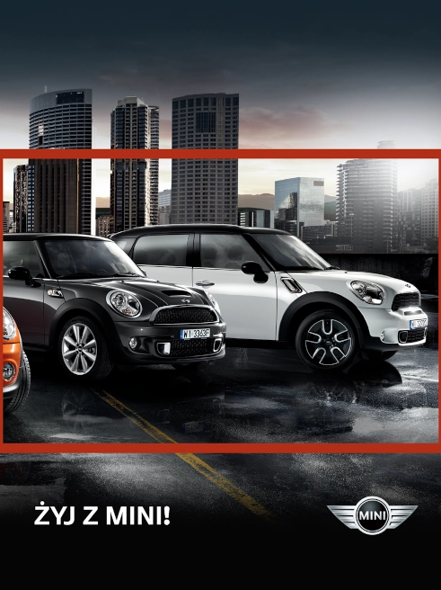 Dealer Mini
